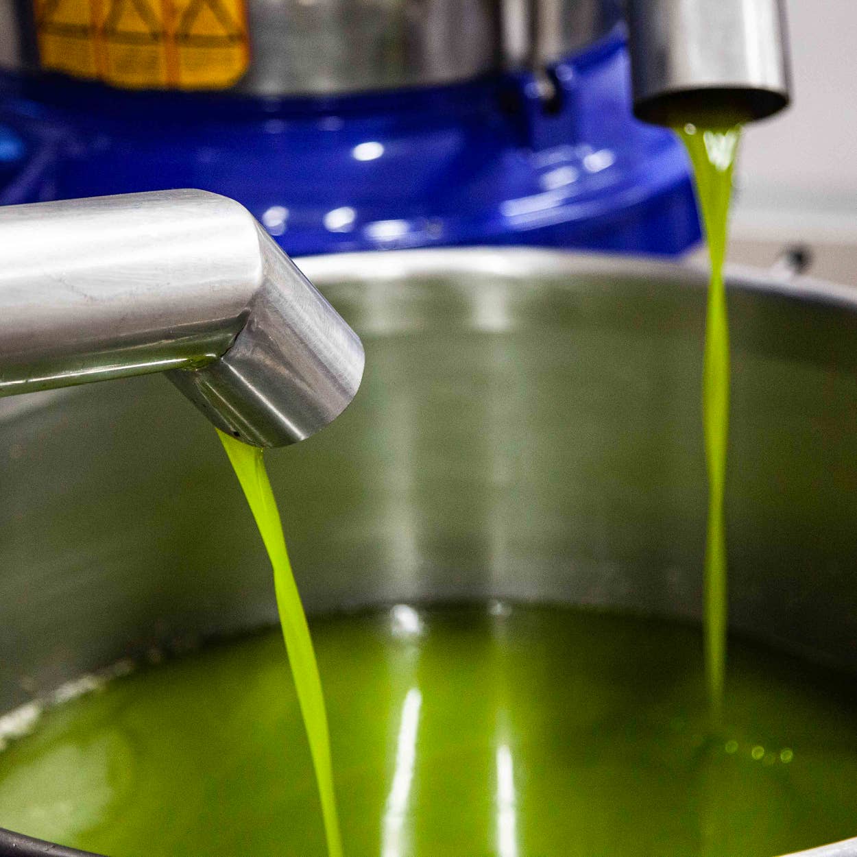 Oleificio Guccione - Wholesale Olive Oil - Zahara 500ml - Premium Extra Virgin Olive Oil - Gift Box5