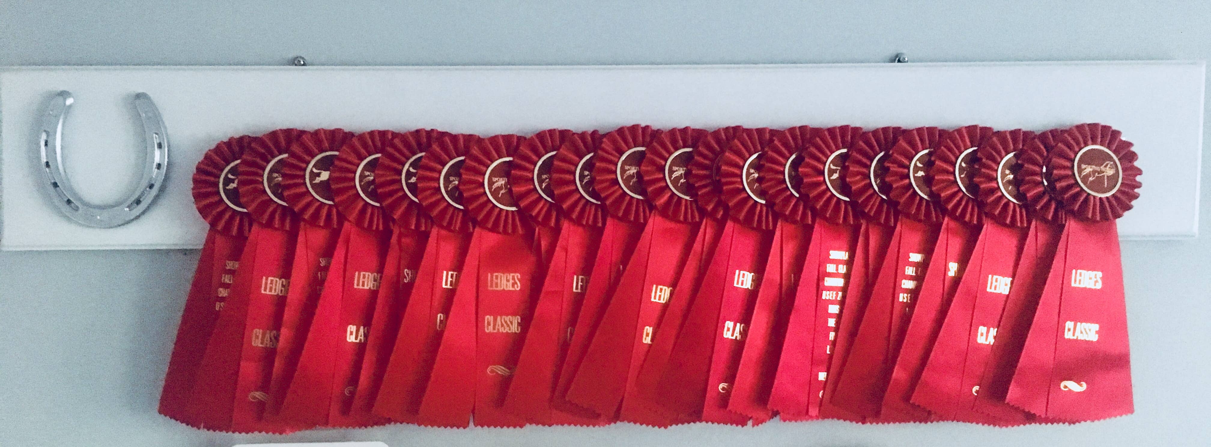 The Infused Equestrian – Prateleira de exposição por atacado – O rack de fita infundido6