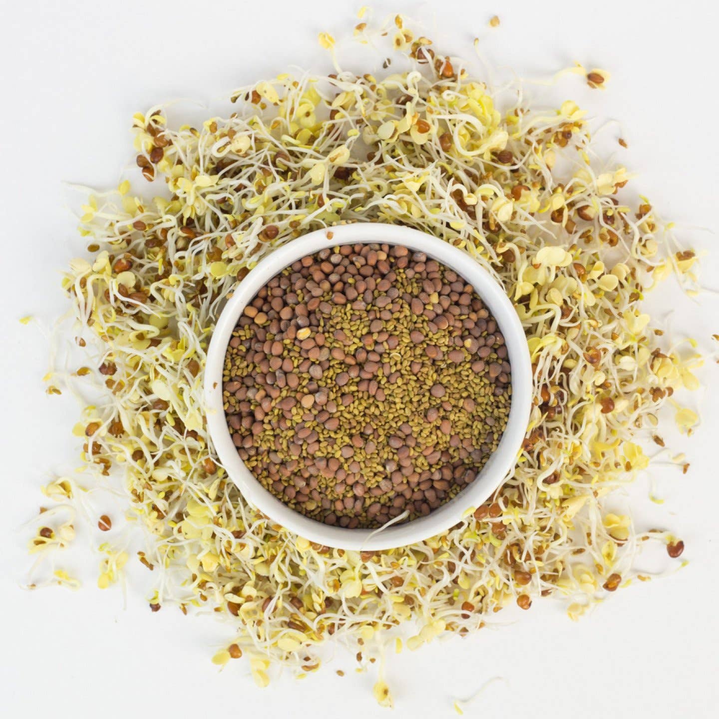 Cultures for Health - Wholesale Plant Seeds - Deli Sandwich Sprouting Seed Blend2