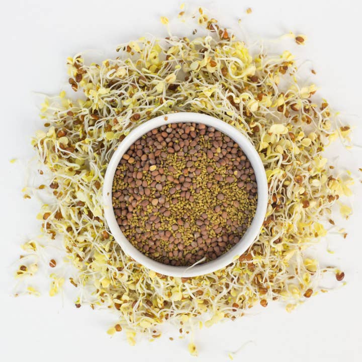 Cultures for Health - Wholesale Plant Seeds - Deli Sandwich Sprouting Seed Blend2