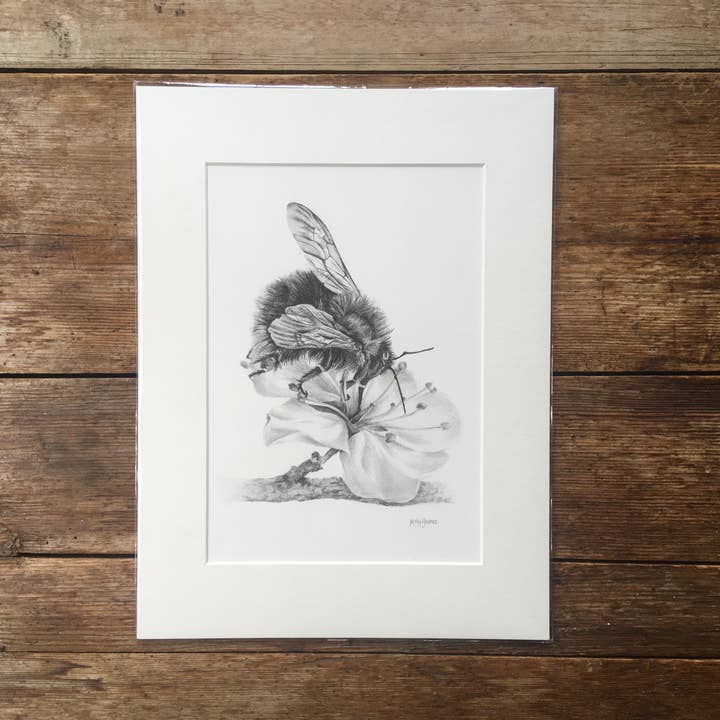 Kelly Barnes Portraits – wholesale Konsttryck – Humla monterat tryck | Blyertsteckning | Vilda djur och växter