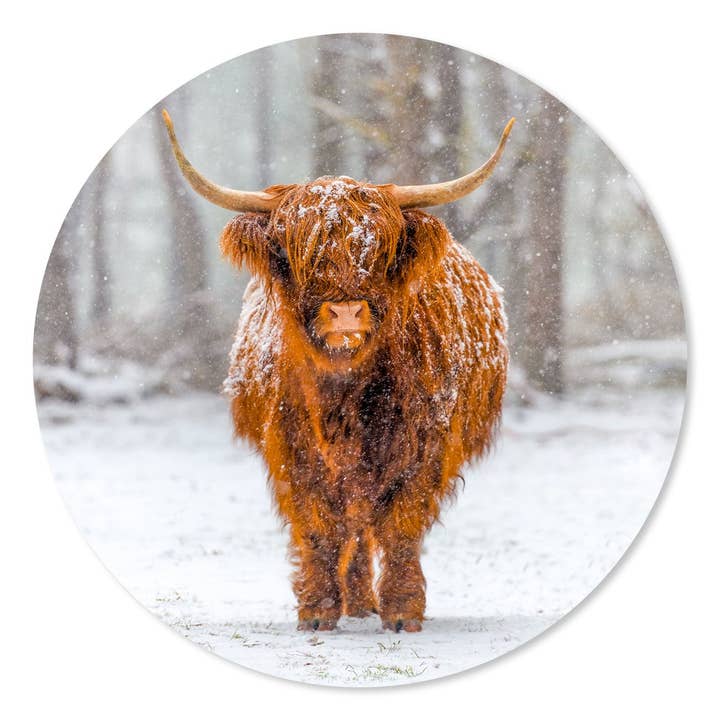 Círculo de Muro de Highlander na Neve por atacado de GM decoratie