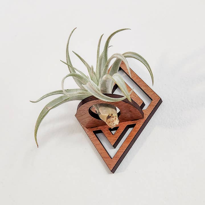 Leaf & Node - Wholesale Wall Planter - Air Plant Holder Display, Wall Hanging, Wood Diamond Design