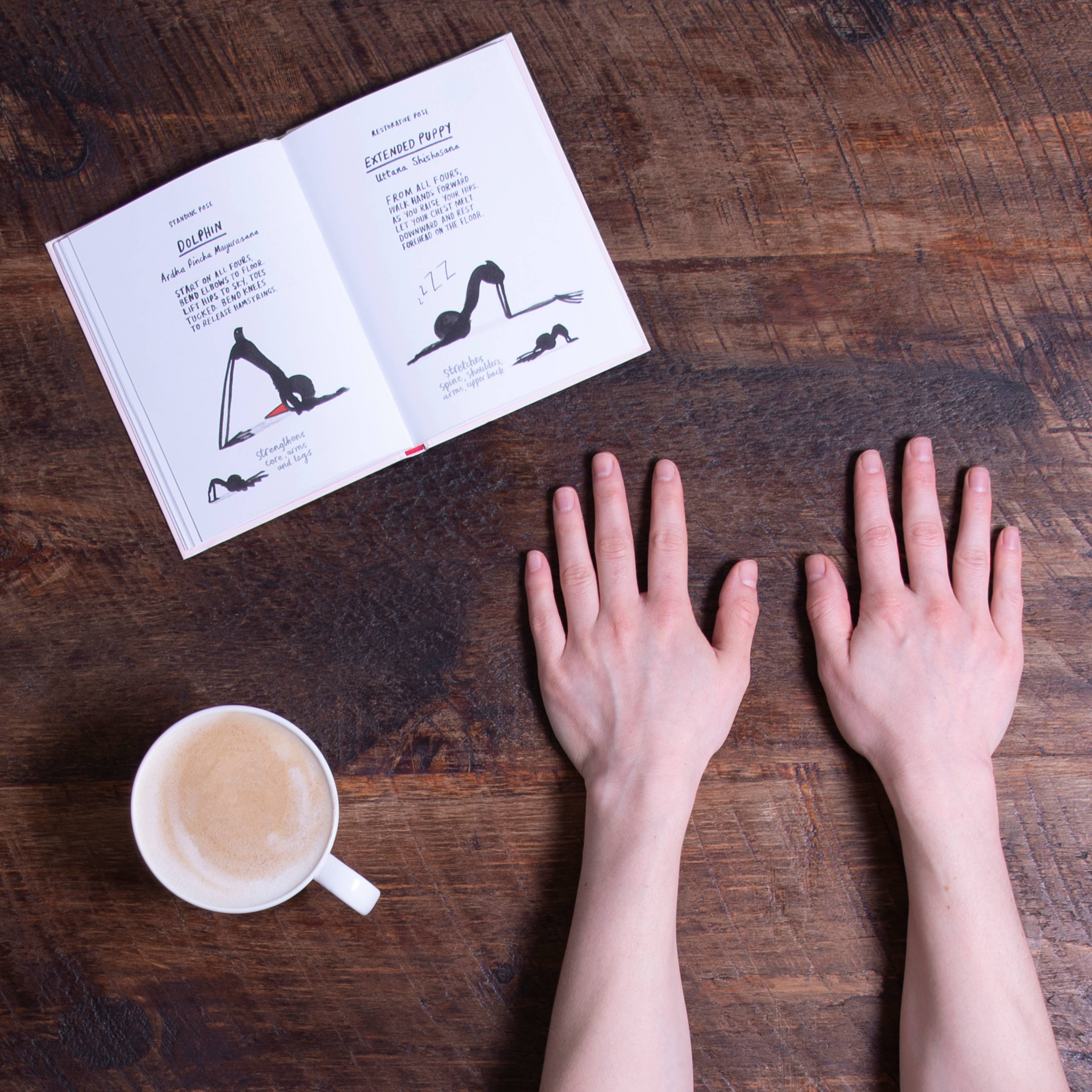 Abrams - Wholesale Fitness & Exercise - Yoga for Stiff Birds1