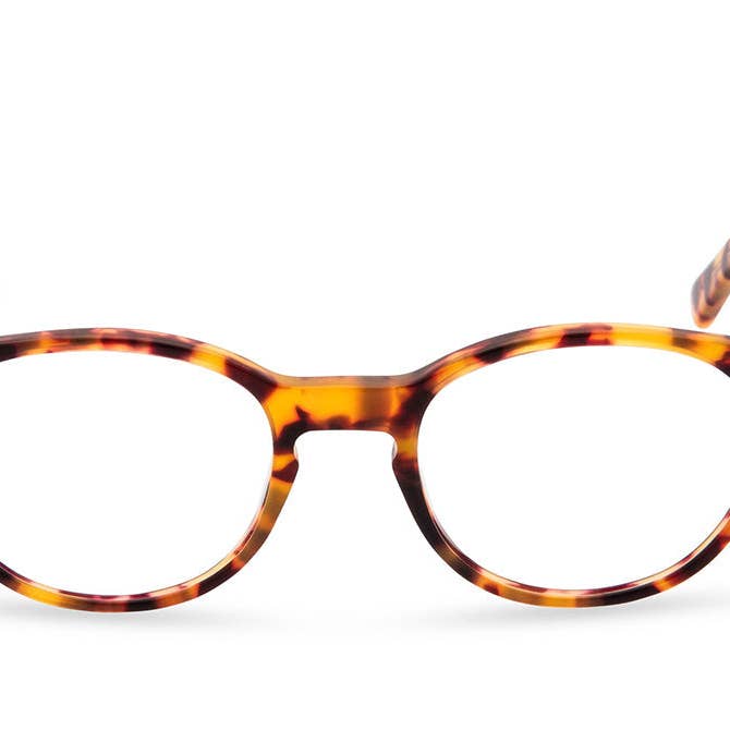 Miller runde briller - rav skildpadde for engroshandel hos Retropeepers Ltd