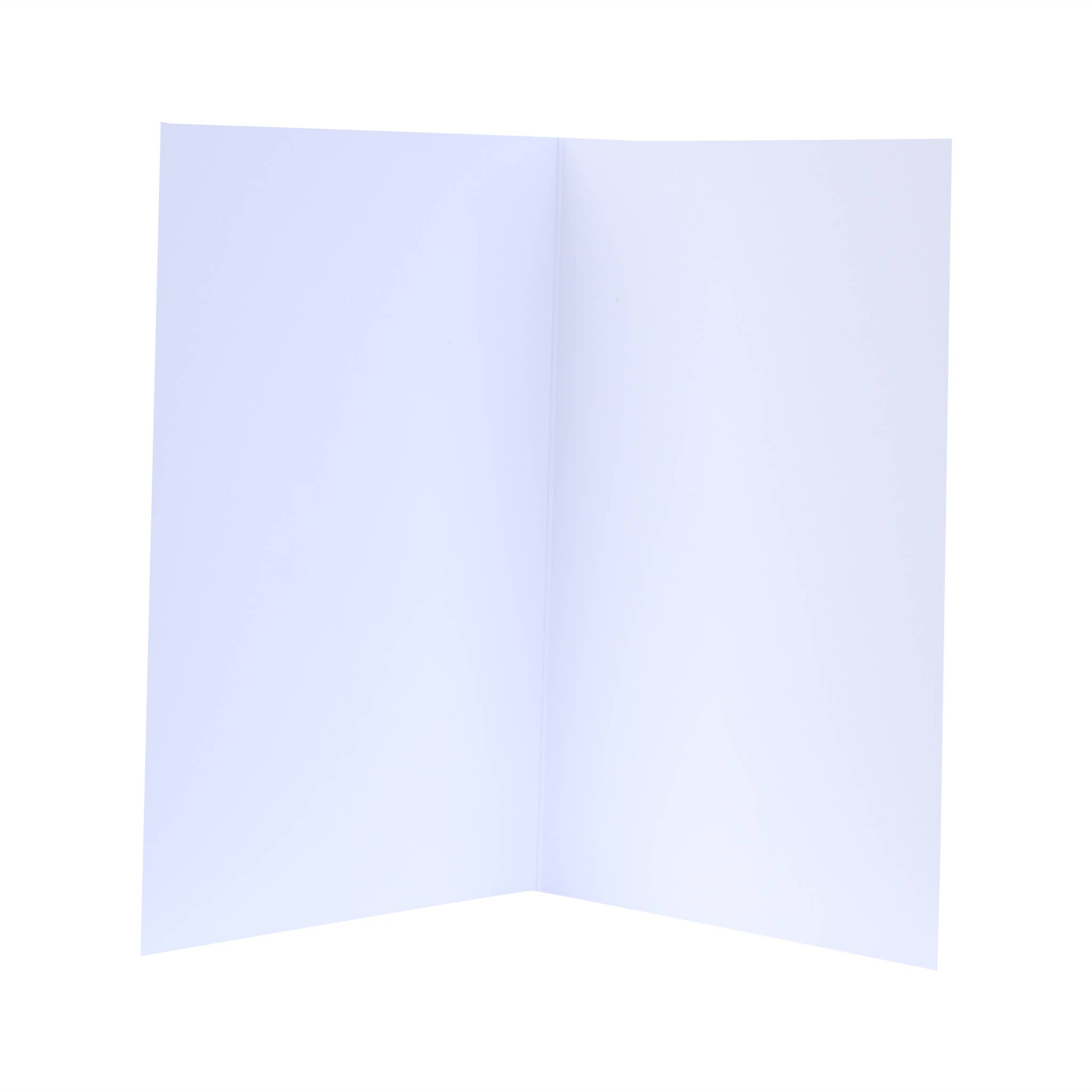 Barrel Down South - Wholesale Father's Day Card - Trophy Dad Fathers Day Greeting Card Deer Hunting Deer Mount2