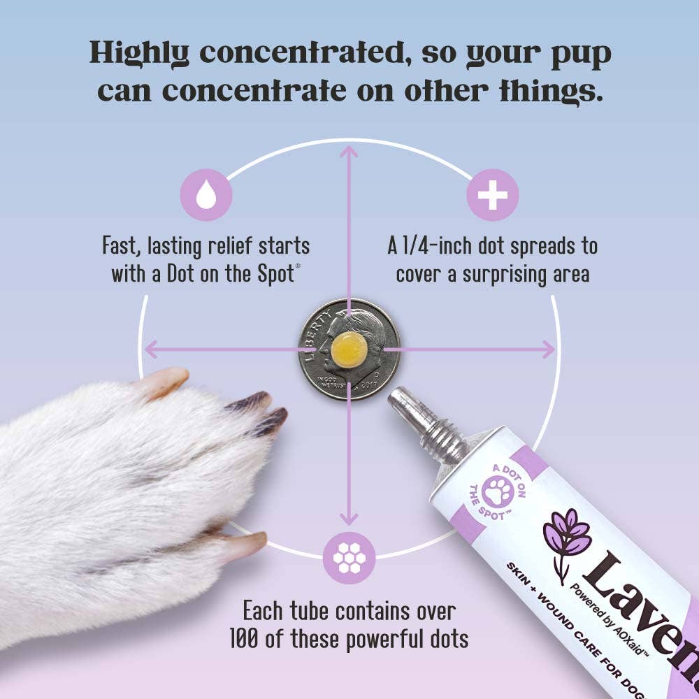Lavengel - Wholesale Pet Balm - Dog - Lavengel - Super Soothing Skin + Wound Care Salve for Dogs5