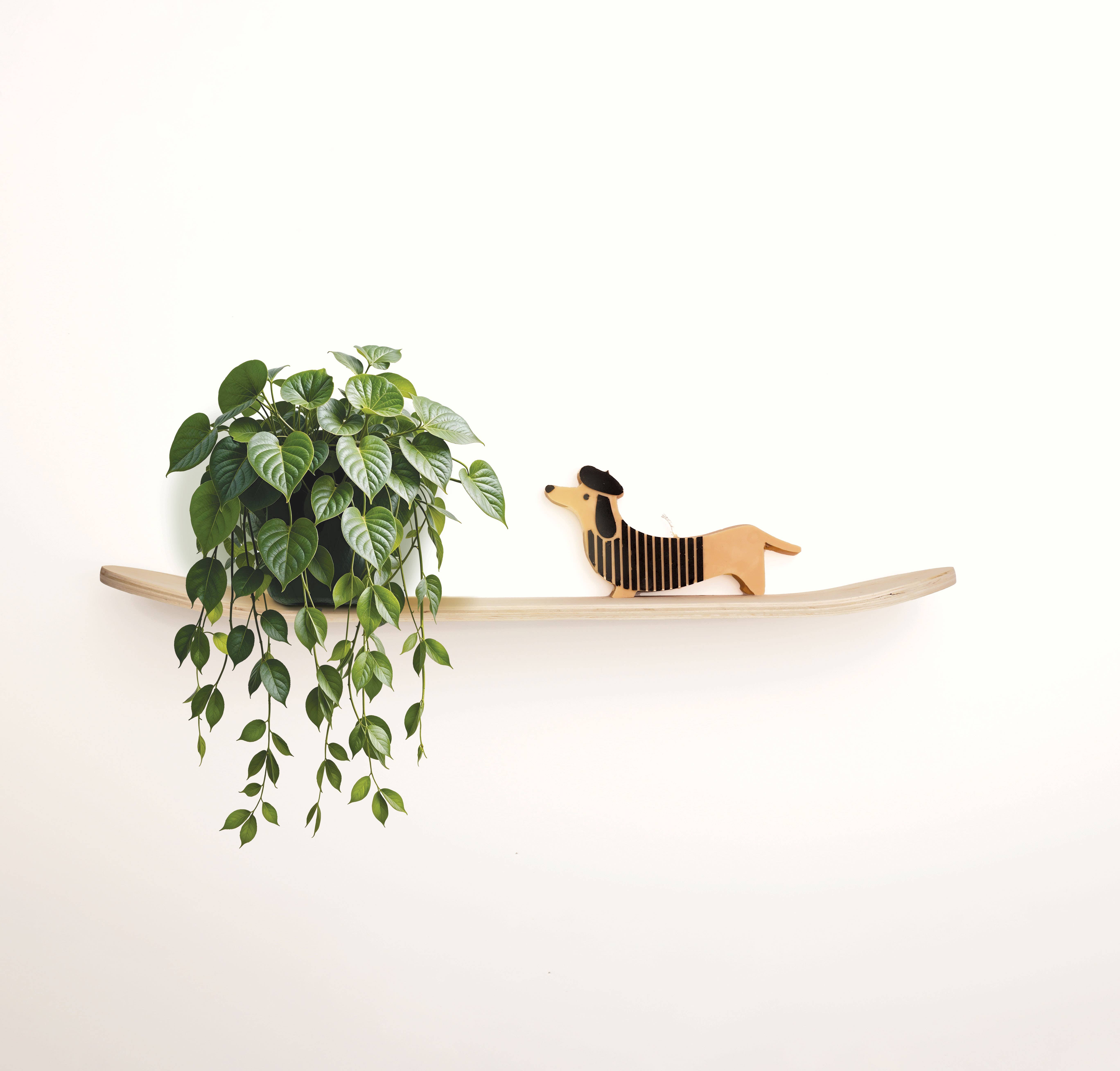 Graine Créative - Wholesale DIY Craft Kit - SKATEBOARD TO DECORATE3