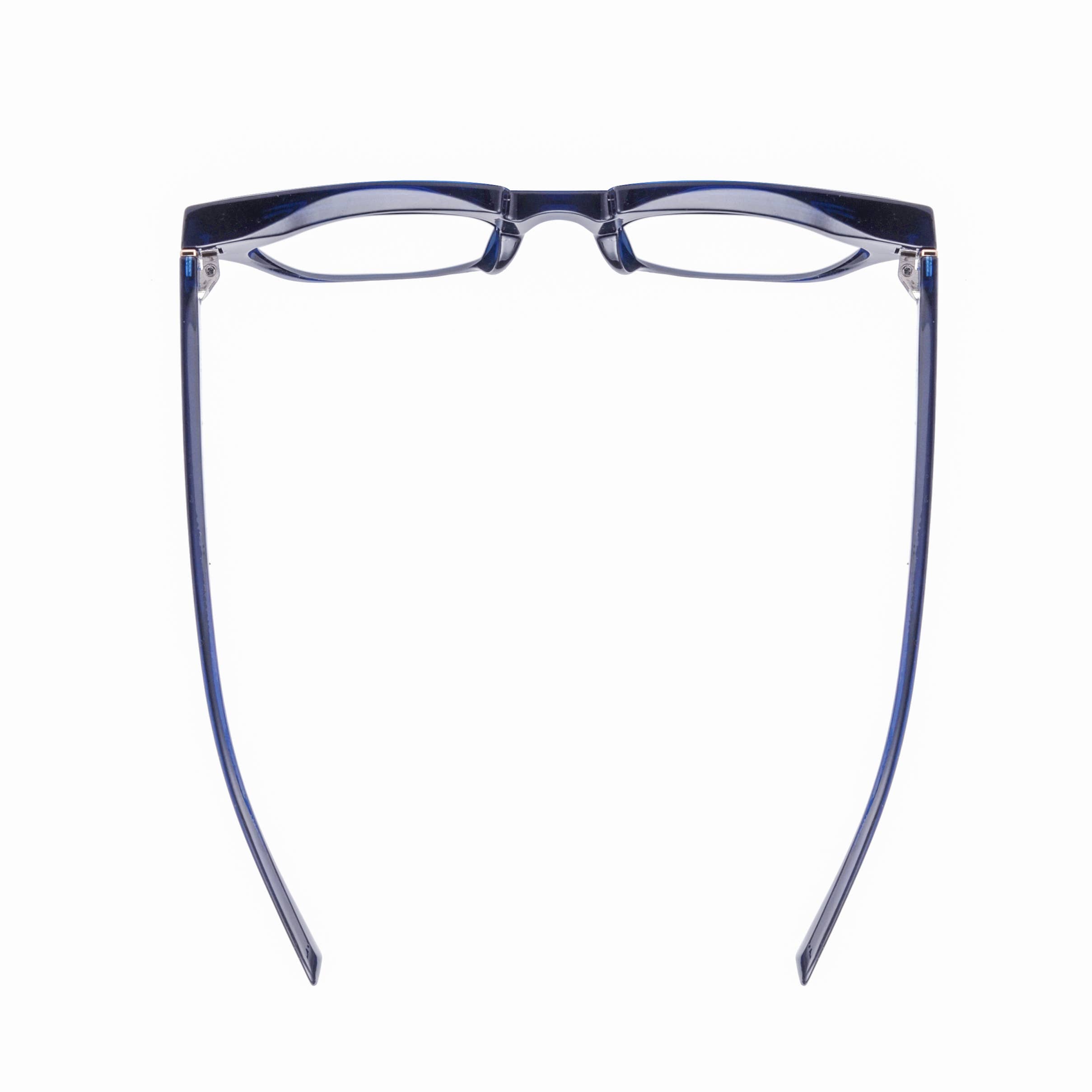 Ryan Simkhai Eyeshop - Wholesale Eyeglasses - Women's - DREW | TRANSPARENT NAVY BLUE | Progressive Blue Light3