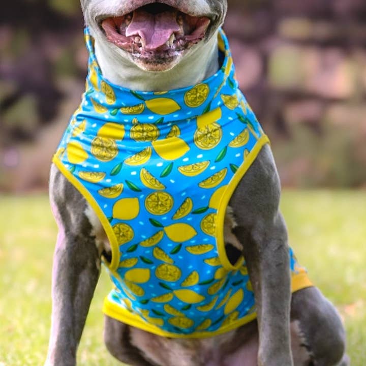 My Main Squeeze Muscle Tee- Blue for wholesale by Pittie Clothing Co.