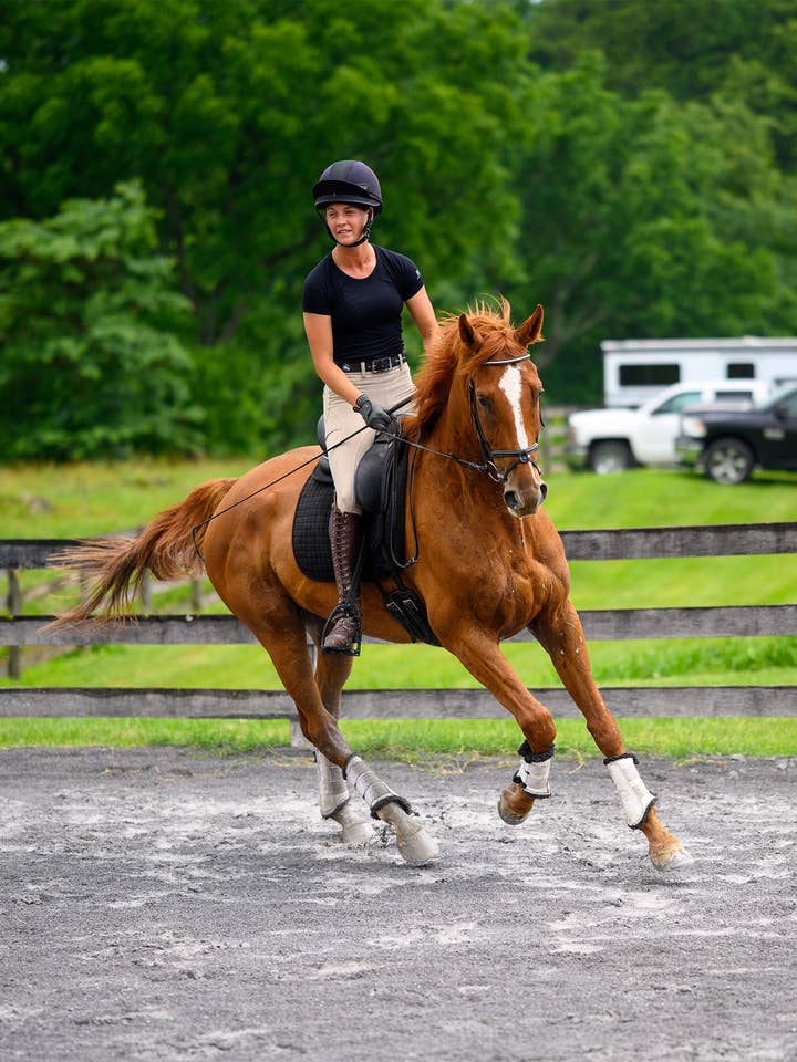 Lux Seamless SS Black for wholesale by Equestly