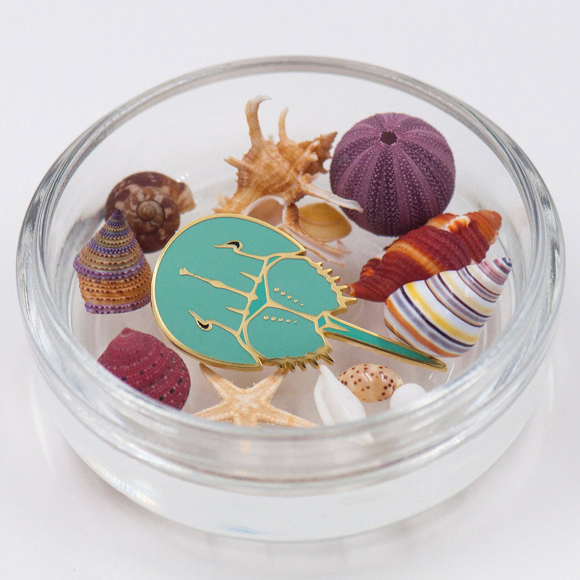 Vermilion Collection - Wholesale Lapel Pin/Button - daparo Enamel Pins "Chinese Horseshoe Crab"1
