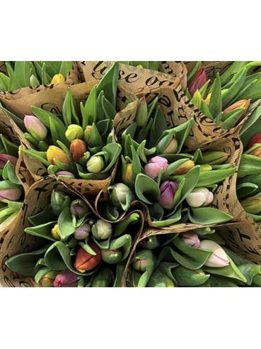 Valentines Day "Mixed in Bunches" -- Special Standard for wholesale by Florasource