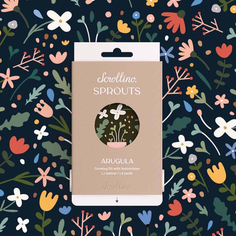 Scrollino - Wholesale DIY Craft Kit - Kids - Original Activity & Growing Kit - Scrollino Arugula Sprouts2
