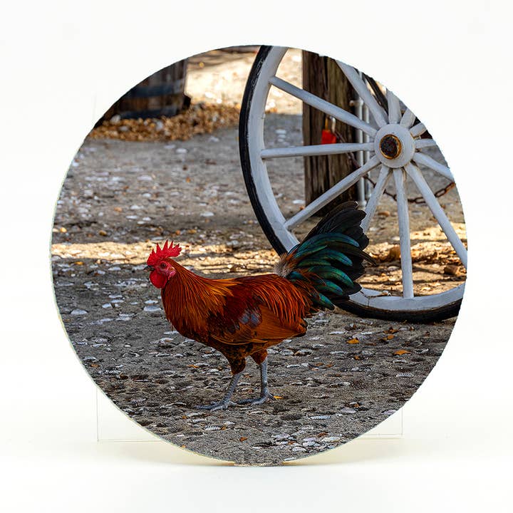 Mike Ring Photography - Wholesale Coasters - Home Coaster-Rooster0
