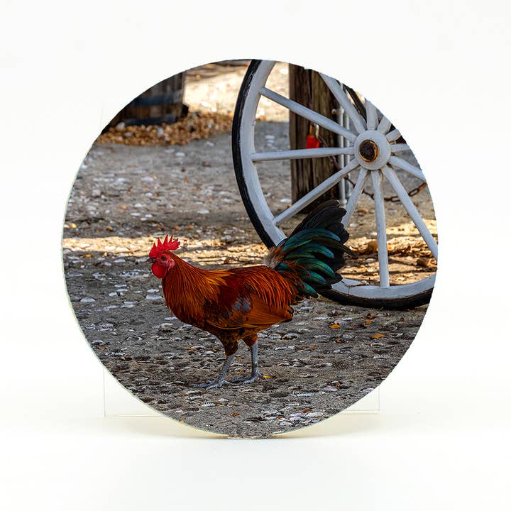 Home Coaster-Rooster for wholesale by Mike Ring Photography
