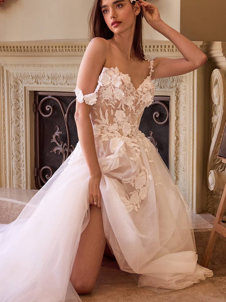 Off White Nude LACE APPLIQUED A-LINE TULE WEDDING DRESS
for wholesale on Faire