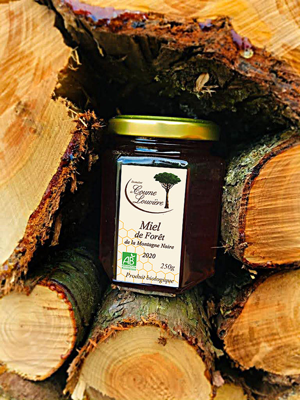 Domaine de Coume Louvière - Wholesale Honey - Organic forest honey from Montagne Noire0