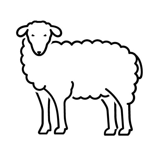 Berbician Canada - Wholesale Salami - Lamb Salami Chub2