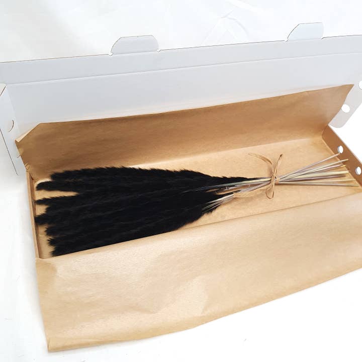 Opal Lily - Wholesale Dried/pressed flowers - Small Black Pampas Grass1