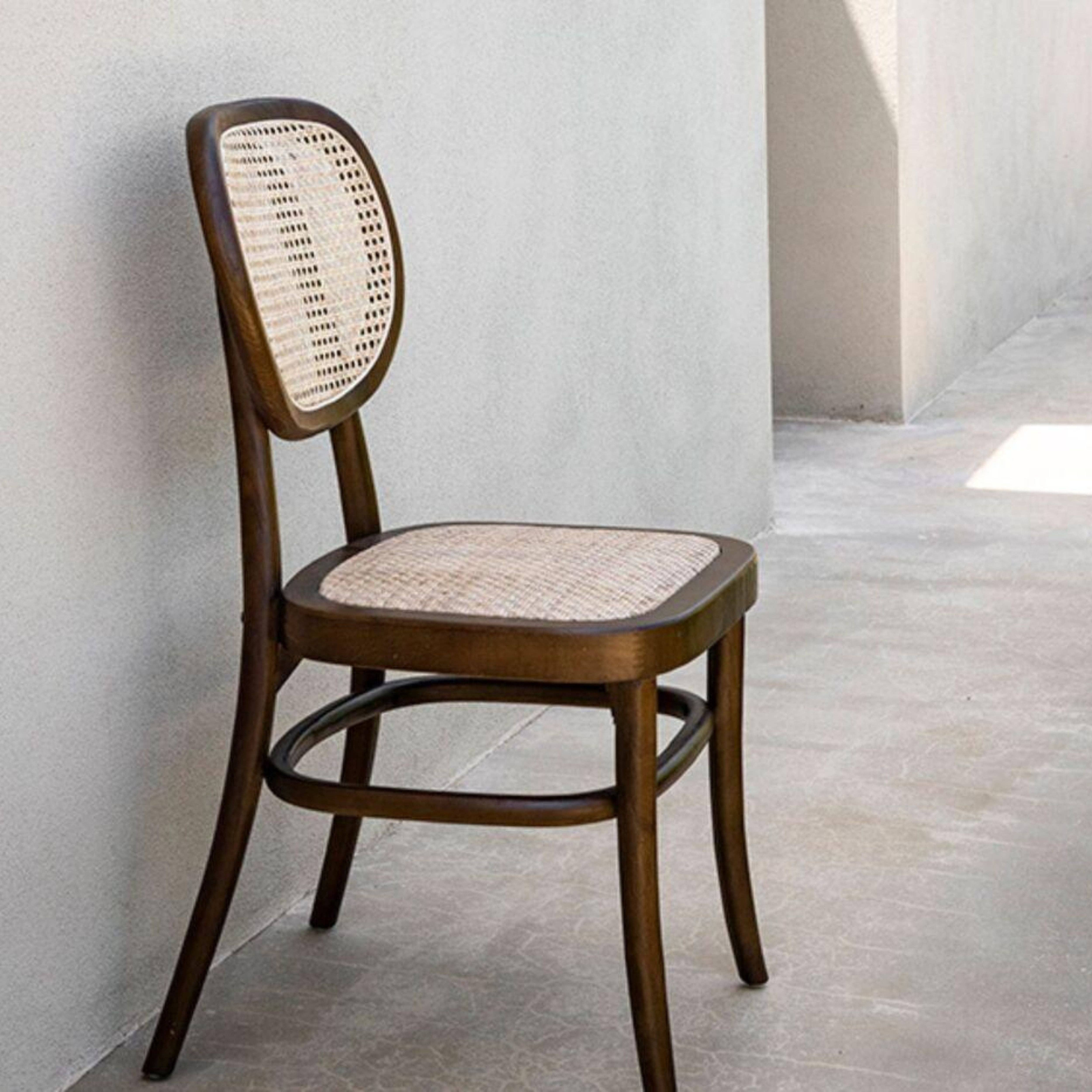 Andrea House - Wholesale Chair - Elm wood dining chair0