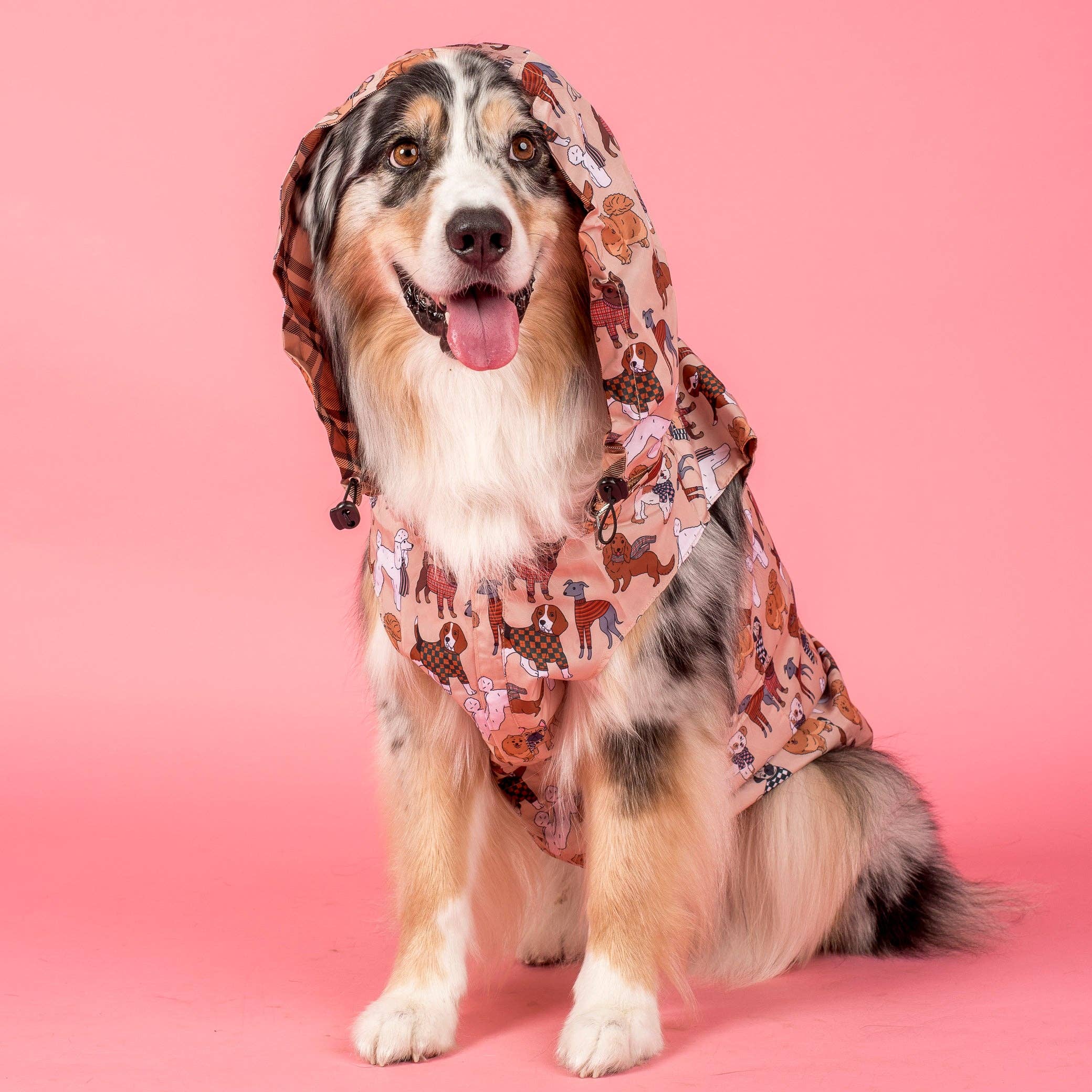 Pablo & Co. Boutique - Wholesale Pet raincoat – Dog - Winter Pooches / Kensington: Raincoat5