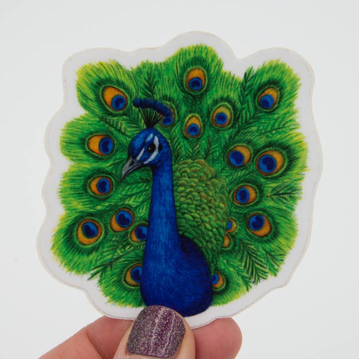 Peacock Vinyl Sticker for wholesale by Jennifer Schiano Studio