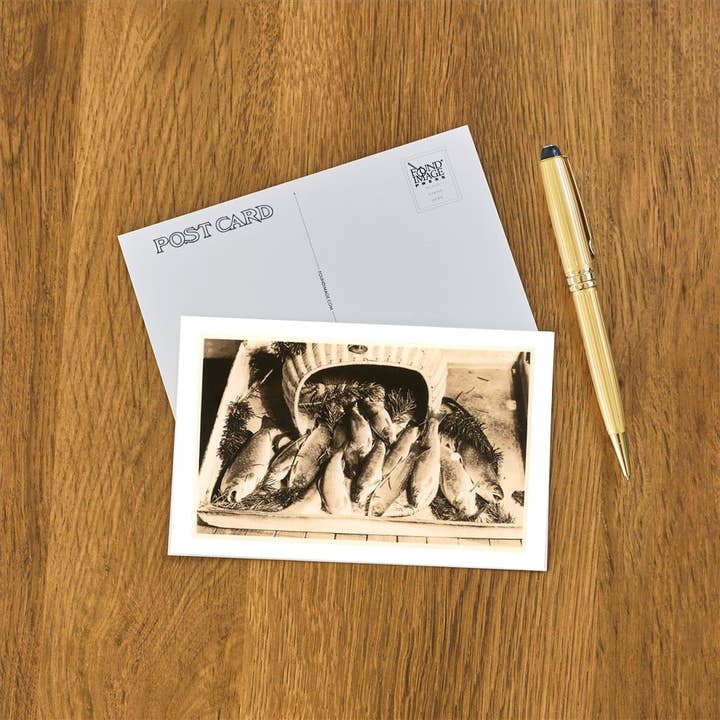 Found Image Press - Wholesale Postcard - Postcard FS-16 Fish with Pine Needles1