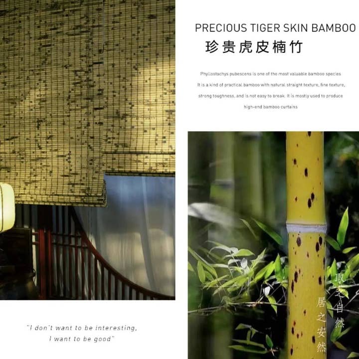everythingbamboo - Wholesale Curtain - Custom Made Tortoiseshell Bamboo Blind Bamboo Curtain Bamboo Screen Rolling Blinds Panel Privacy Customization Size11