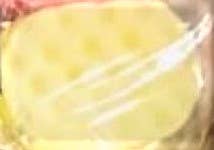 The Bubble Collective – wholesale Bath pouf/sponge – Soap filled exfoliating sponge5