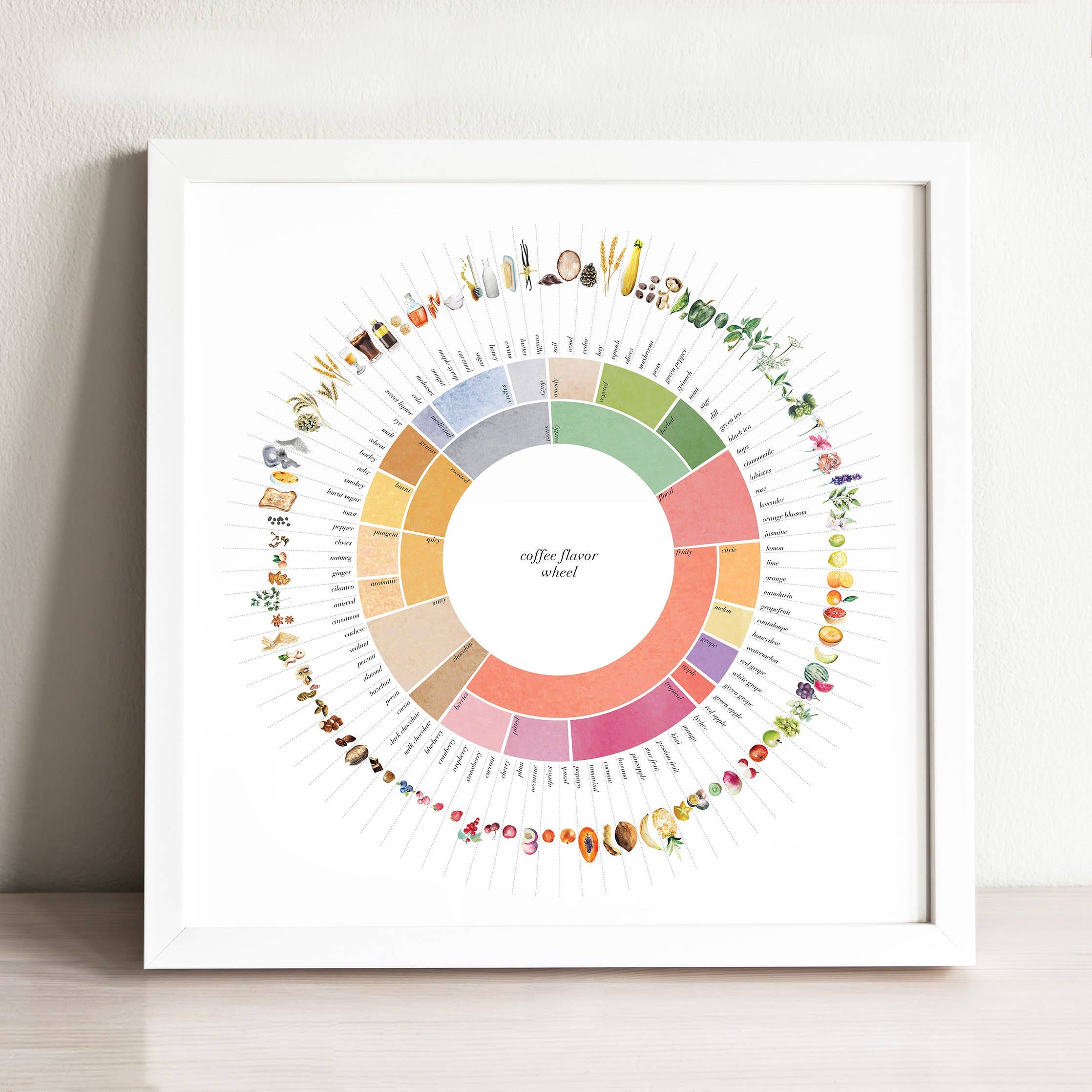 Paper Mundi - Wholesale Art Print - Coffee Flavor Wheel