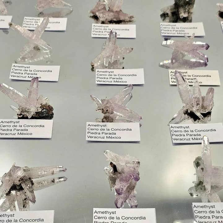 Små Veracruz ametistkristallkluster (B1) för wholesale av Distinction Crystals