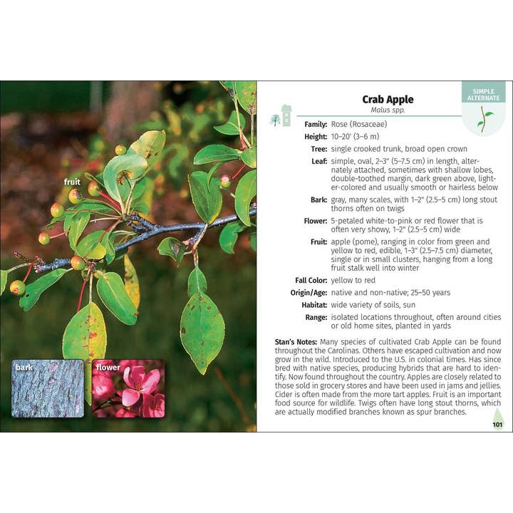AdventureKEEN - Wholesale Nature Guide - Trees of the Carolinas Field Guide 2e