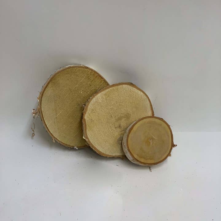 Winter Woods - Wholesale Decorative Tabletop Object - 7" Birch Disk1