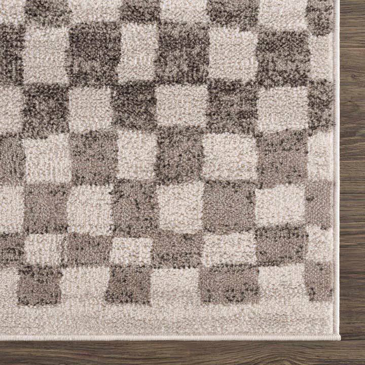 Hauteloom - Wholesale Area Rug - Benjy Beige Checkered Area Rug9