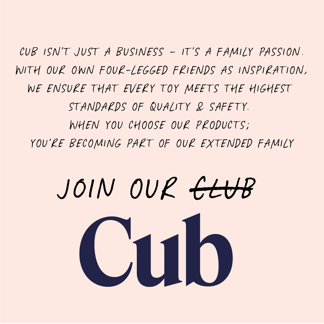 Cub - Wholesale Pet Toy - Dog - Mr Tuff Eco-Friendly Suede and Jute Dog Toy5