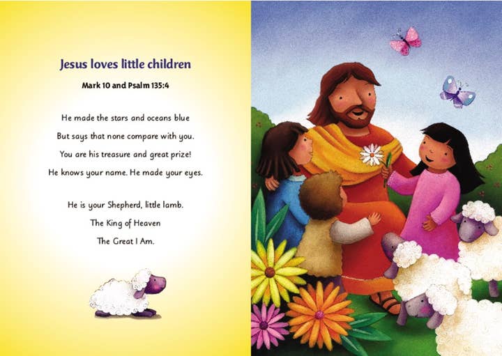 HarperCollins - Wholesale Baby & Toddler Book (0-2) - Baby’s Carry Along Bible: Sally Lloyd-Jones3