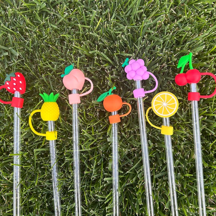 JILLIAN INK LLC - Wholesale Drinking Straw - Fruit Straw Toppers Set of 7