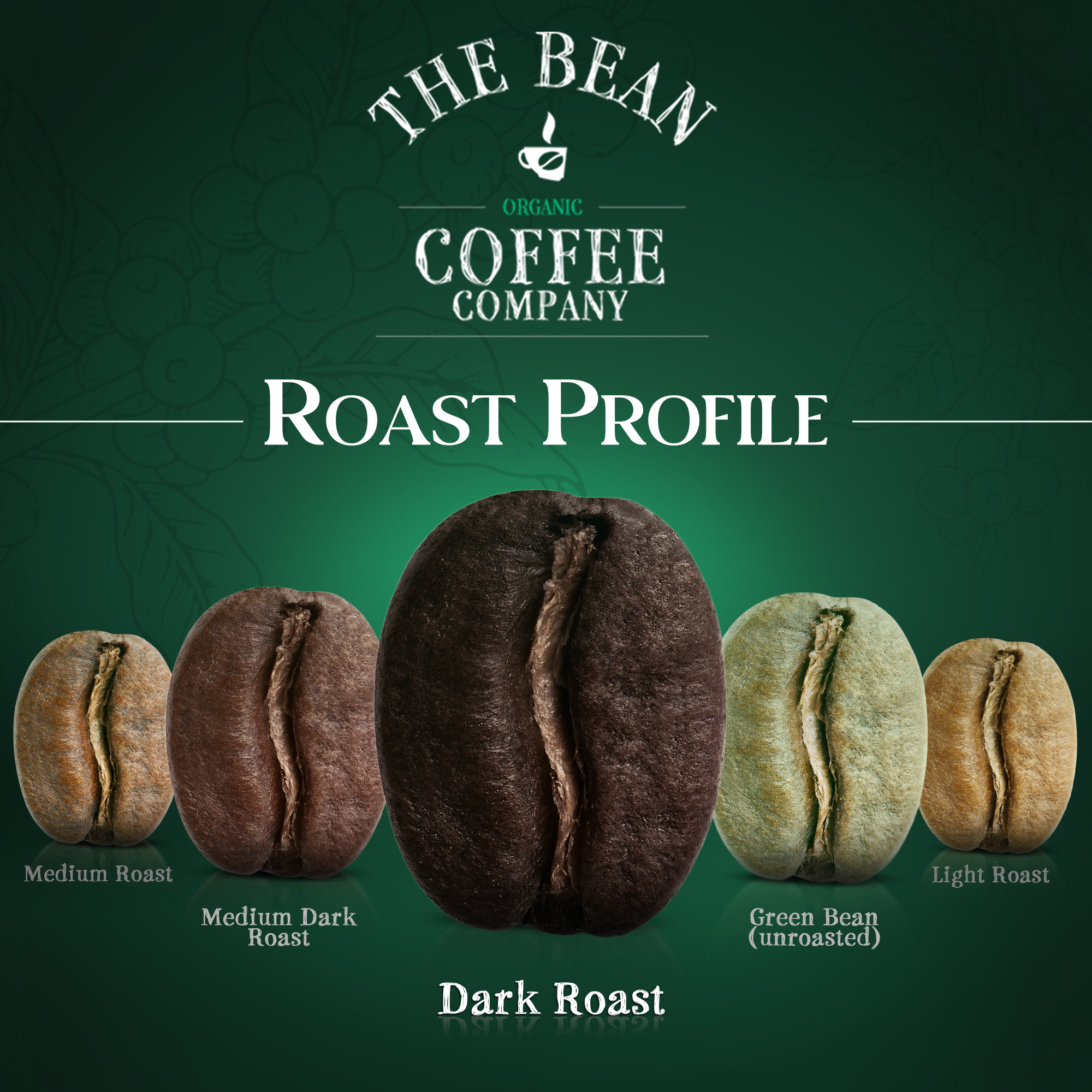 The Bean Coffee Company - Wholesale Ground Coffee - Organic Premium Espresso Coffee1