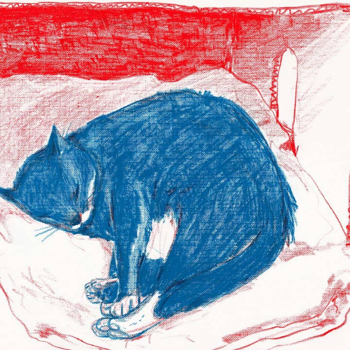 Rebekah Evans Art - Wholesale Art Print - Print - "Pepper in His Box"1