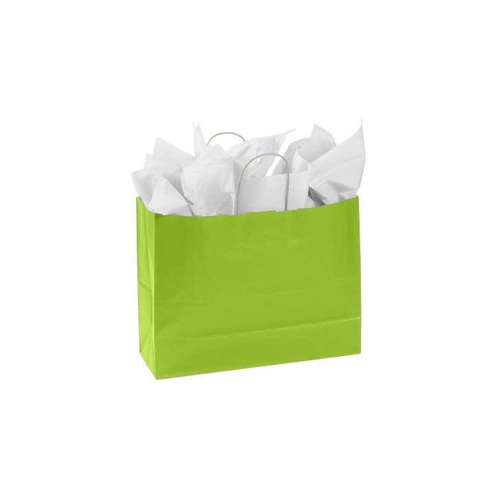 Store Supply Warehouse - Wholesale Gift Bag - Colorful Kraft Paper Shopping Bags17