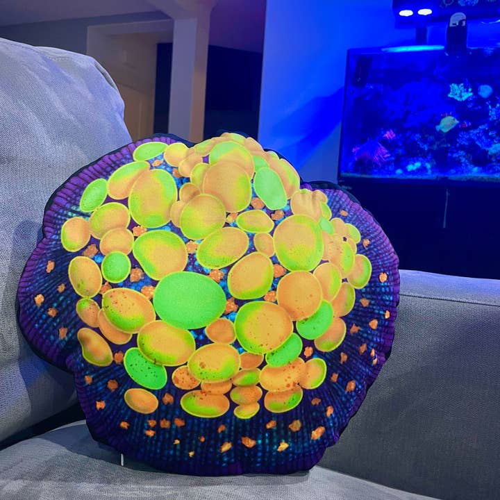 Cuscino OG Bounce Mushroom Coral per la vendita all'ingrosso da parte di Reef of Clowns