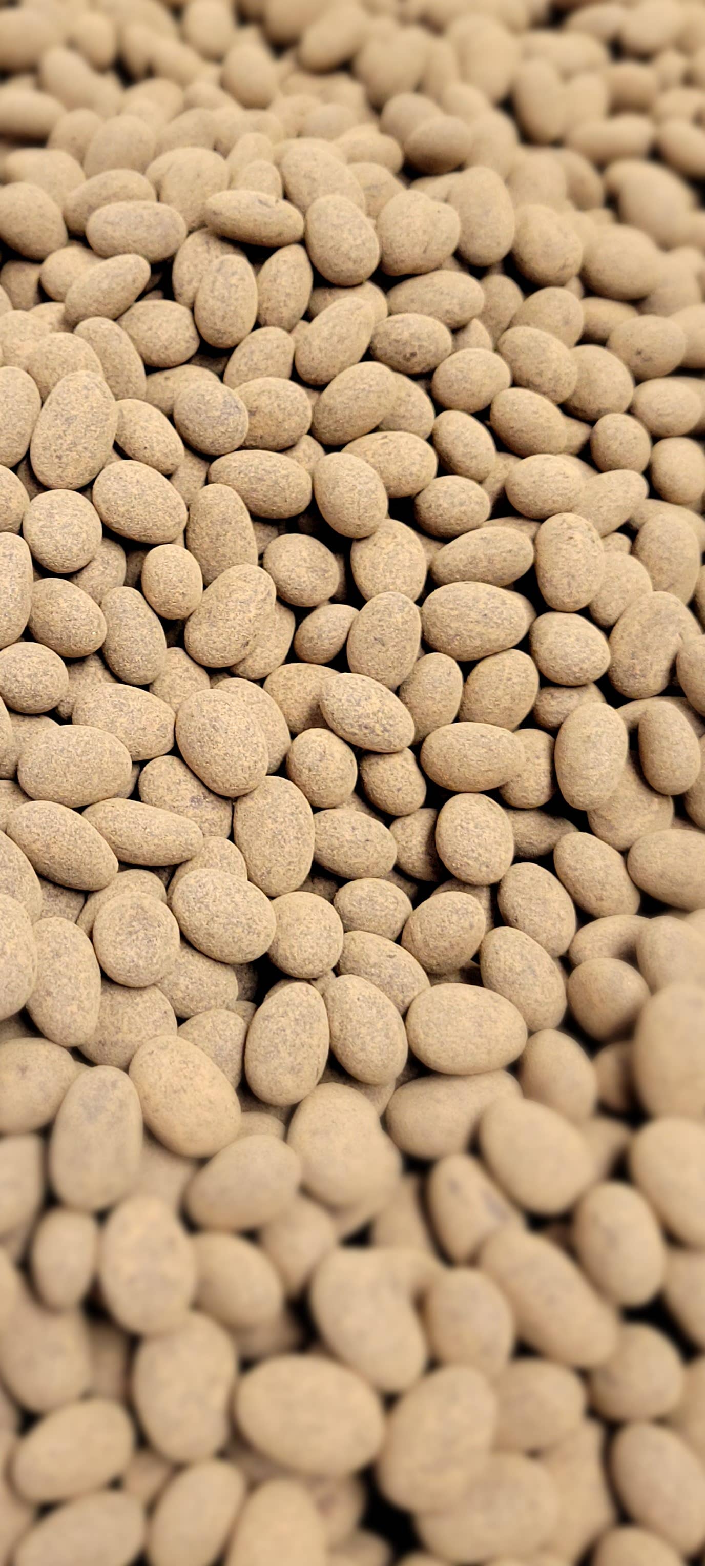 Fruition Chocolate Works – Doces cobertos de chocolate por atacado – Amêndoas com sal marinho defumado em chocolate amargo3