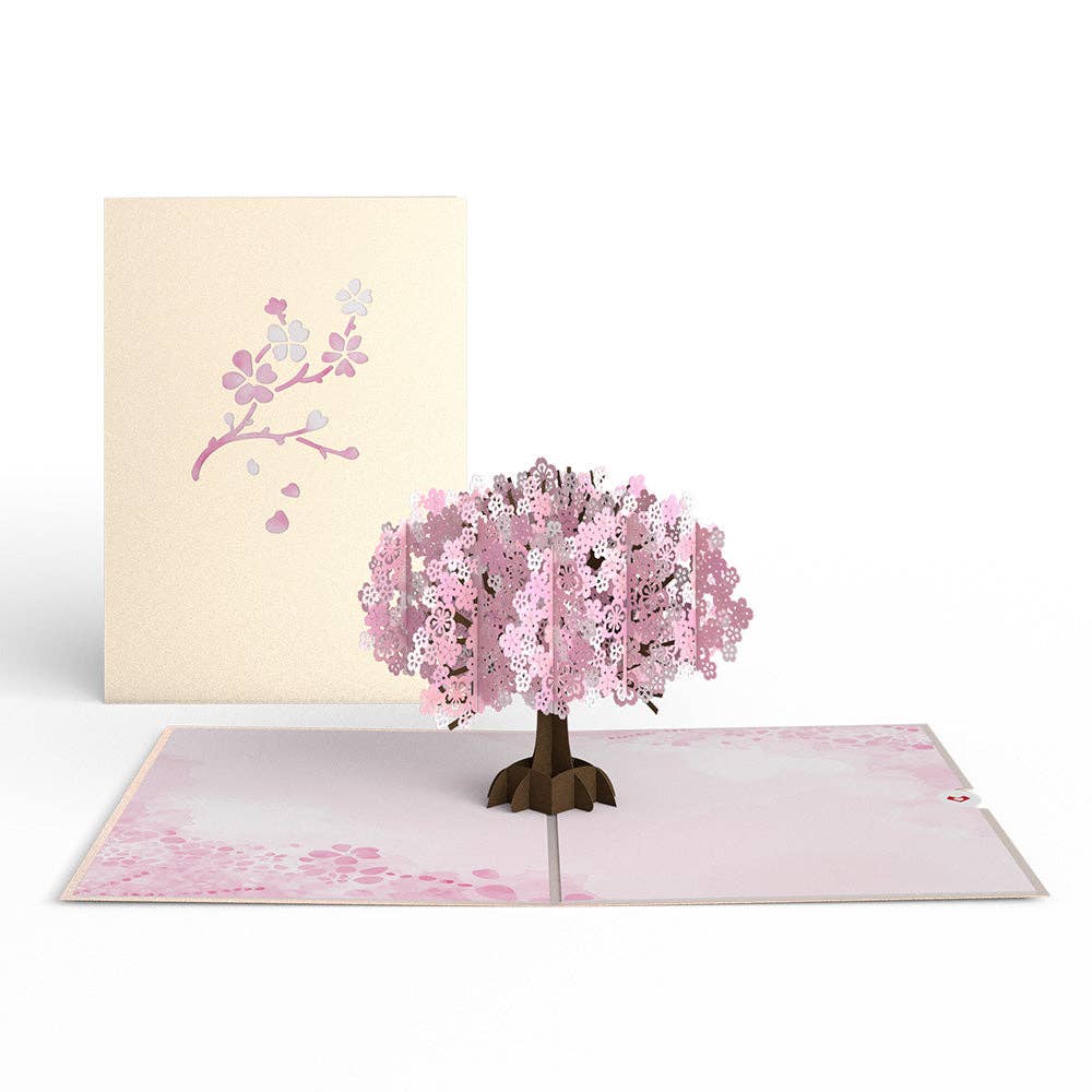 Lovepop Cards - Wholesale Everyday Greeting Card - Cherry Blossom Card, 5x7" Pop-Up Cards2