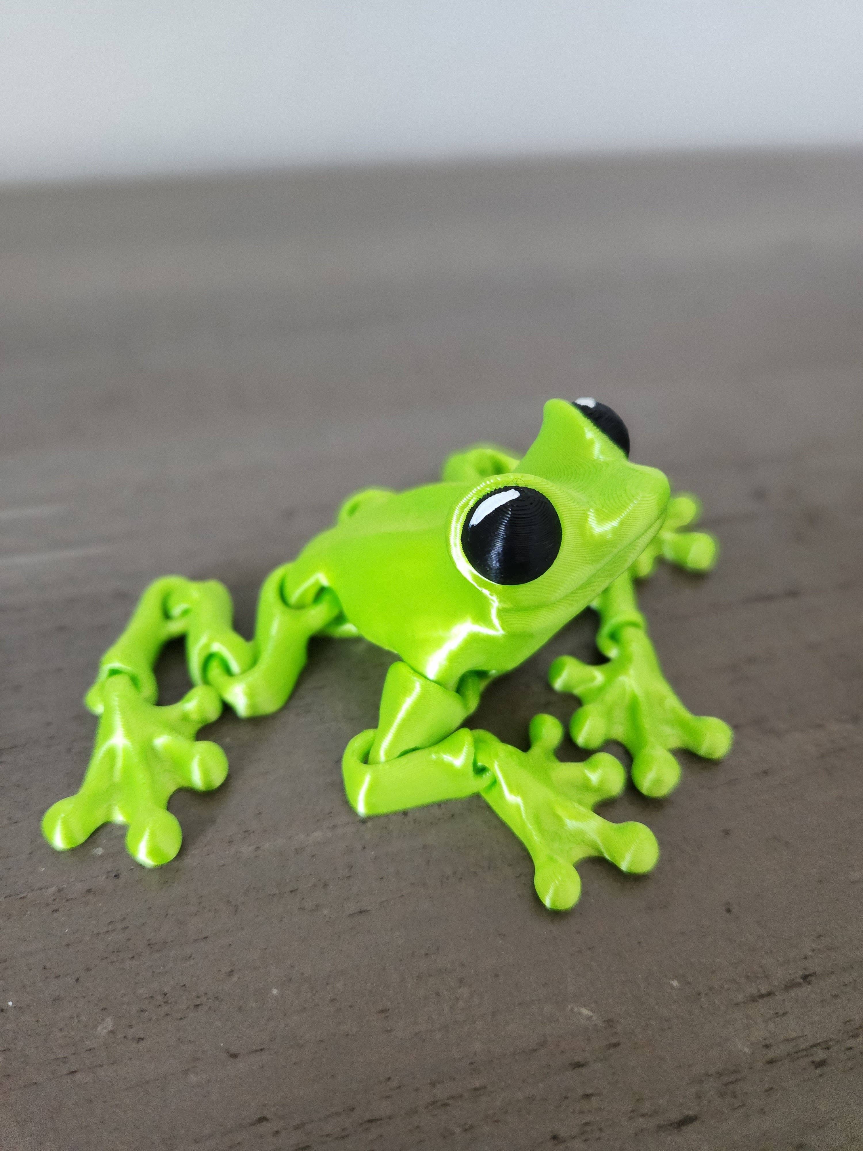 Altered Matter - Wholesale Fidget Toy - Kids - Froggy Friend - 3d Printed Fidget0