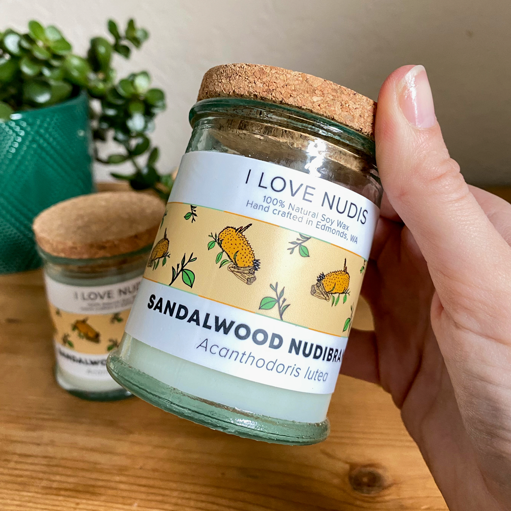 I LOVE NUDIS - Wholesale Jar/Filled Candle - Sandalwood Nudibranch Candle in Recycled Glass1