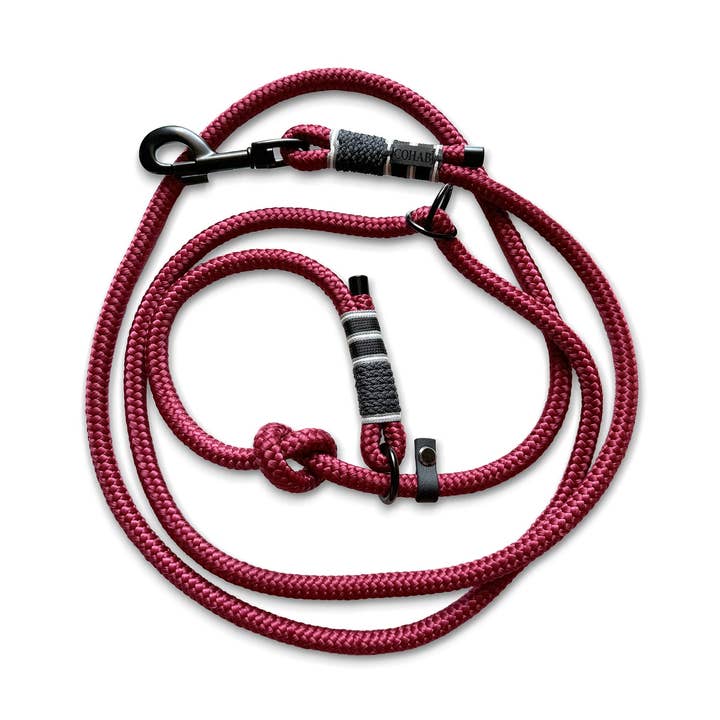 Tau-Retrieverkoppel "rubinröd" för wholesale av COHAB collective