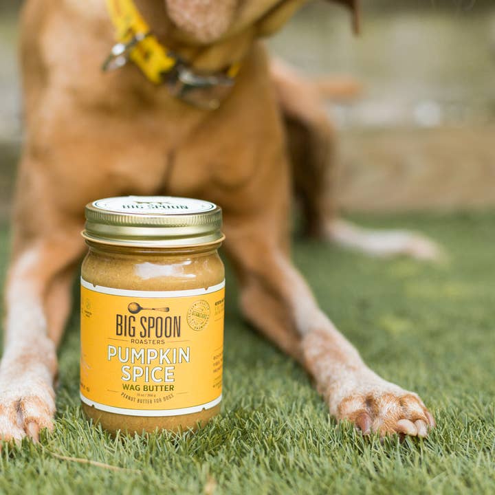 Big Spoon Roasters - Wholesale Pet Treats - Dog - Pumpkin Spice Wag Butter