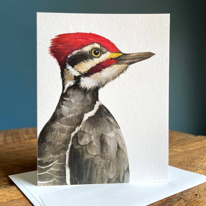 Pileated Woodpecker - Blank Note Card for wholesale by Amy Shawley Paquette