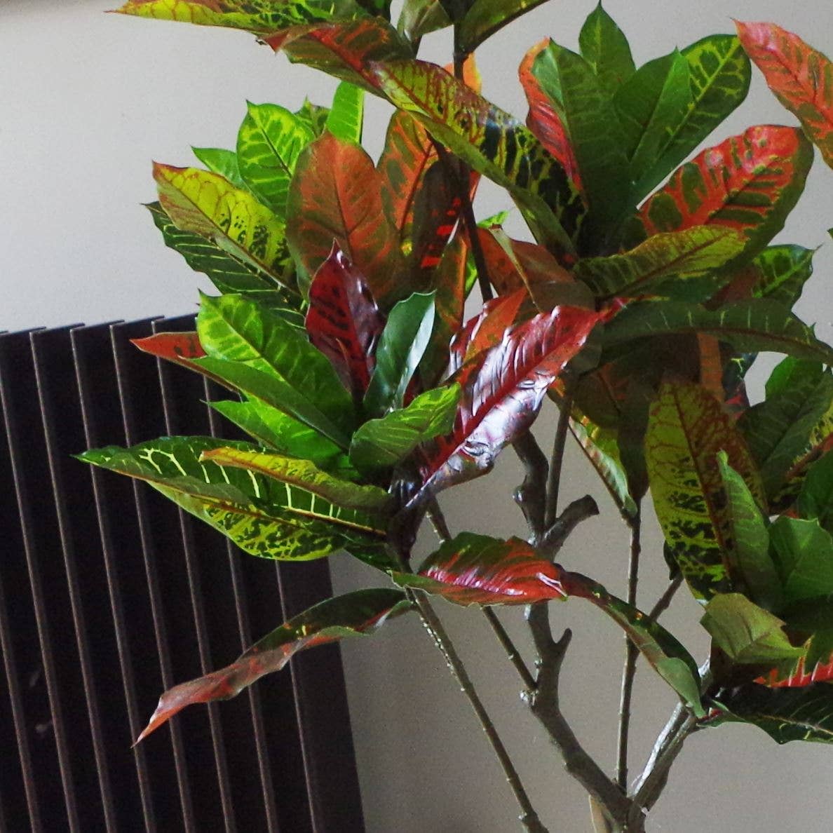 Leaf Design UK LTD - Wholesale Artificial Plant - Artificial House Plant Codiaeum Multicoloured Tree 130cm3